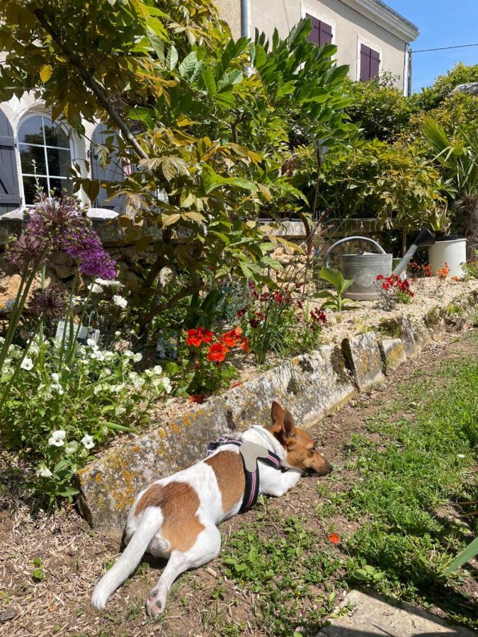 Homestay Maison De Charme Roches-Premarie-Andille